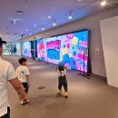 서울 아이랑 가볼만한곳 DDP 베베핀 무료 전시 막차 후기