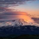 (주)텔로스 이미지