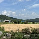 토러스농장 이미지