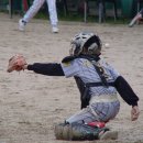 제주남초등학교 이미지