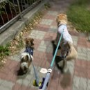 토리네민박 이미지