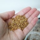 씨앗농부 이미지