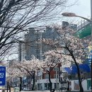 버블맨24익산 이미지