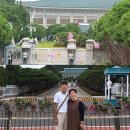 파란지붕