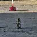 면공관 | [KOICA 탄자니아 재외공관 YP] 2월 일상