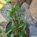 해든에너지4 이미지