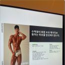 골든피티