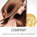 피엘헤어 이미지