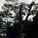 봉래2동-6 이미지