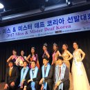 월드히어링 네이버블로그