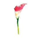 계림반점 - 상주시 서성1길 10 | 계림반점