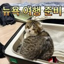 뉴욕미술교습소