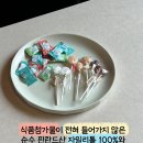 라엘어린이집 | 자일로드림 자일리톨 사탕 공동구매 오픈