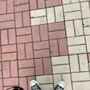신지공인중개사사무소 이미지