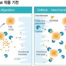 당뇨환자 복용 시, 혈당 조절 변화 주의 제니칼 캡슐 (Xenical cap.) 이미지