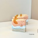 제이숲솝