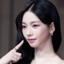 부쉐론