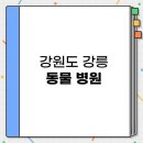 하슬라동물병원 | 강원도 강릉 24시 야간 진료 가능한 동물병원 BEST 3 추천 | 주말 심야