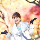 이미정 카카오 검색결과