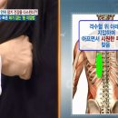 등이
