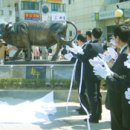 황소축산 이미지