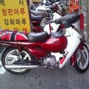 씨티플러스