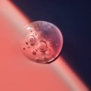 에버피부과의원 이미지