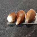 창이대로 이미지