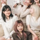 헤어341 이미지