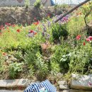 시칠리팬션 이미지