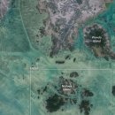 완도8호 이미지