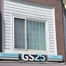 서울 장미 맛집 발견 대명비발디파크아파트 장미길 후기 (26년 5월 17일 기준 개화 상황) 위치팁