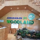 cafe 정남진 이미지