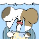 씨장 SSIJANG