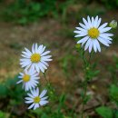 거리로R 이미지