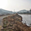 천의1리 이미지