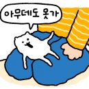 하하호호프렌드 네이버블로그