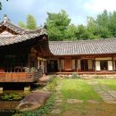 카페녹녹 네이버블로그