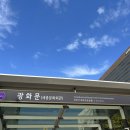 굿나이스투어