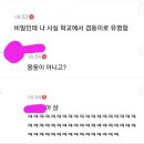 웃음 보장! 방석에서 가장 많은 달웃을 보유한 영화달글 달웃이 드디어 찾아왔습니다! 이미지