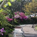 협재관광지 이미지