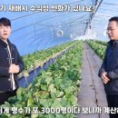 세라농장(2농장) 이미지