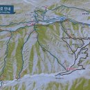 윗대티 등산로 이미지