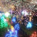 진해중앙초등학교 이미지