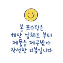 데비스제주