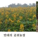 만대농장 이미지