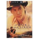 구름속의 산책 이미지