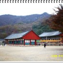 소연불교사 | 전북고창 선운사