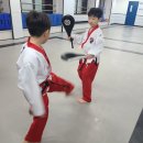 월드클래스 태권도장 이미지