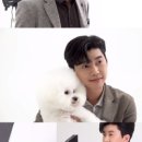 케미의류